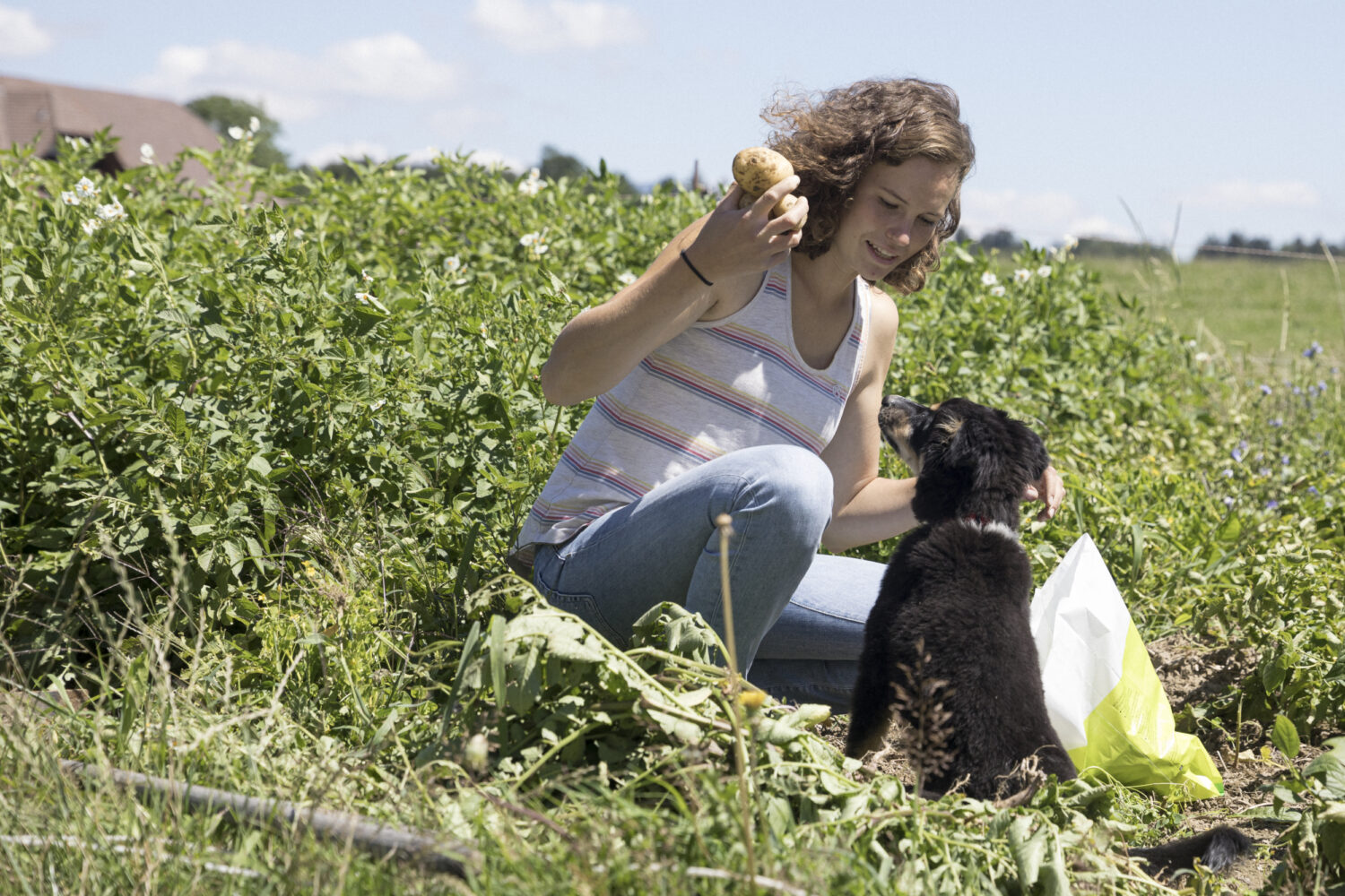 13Photo-Daniel Rihs-Frauen in der Landwirtschaft